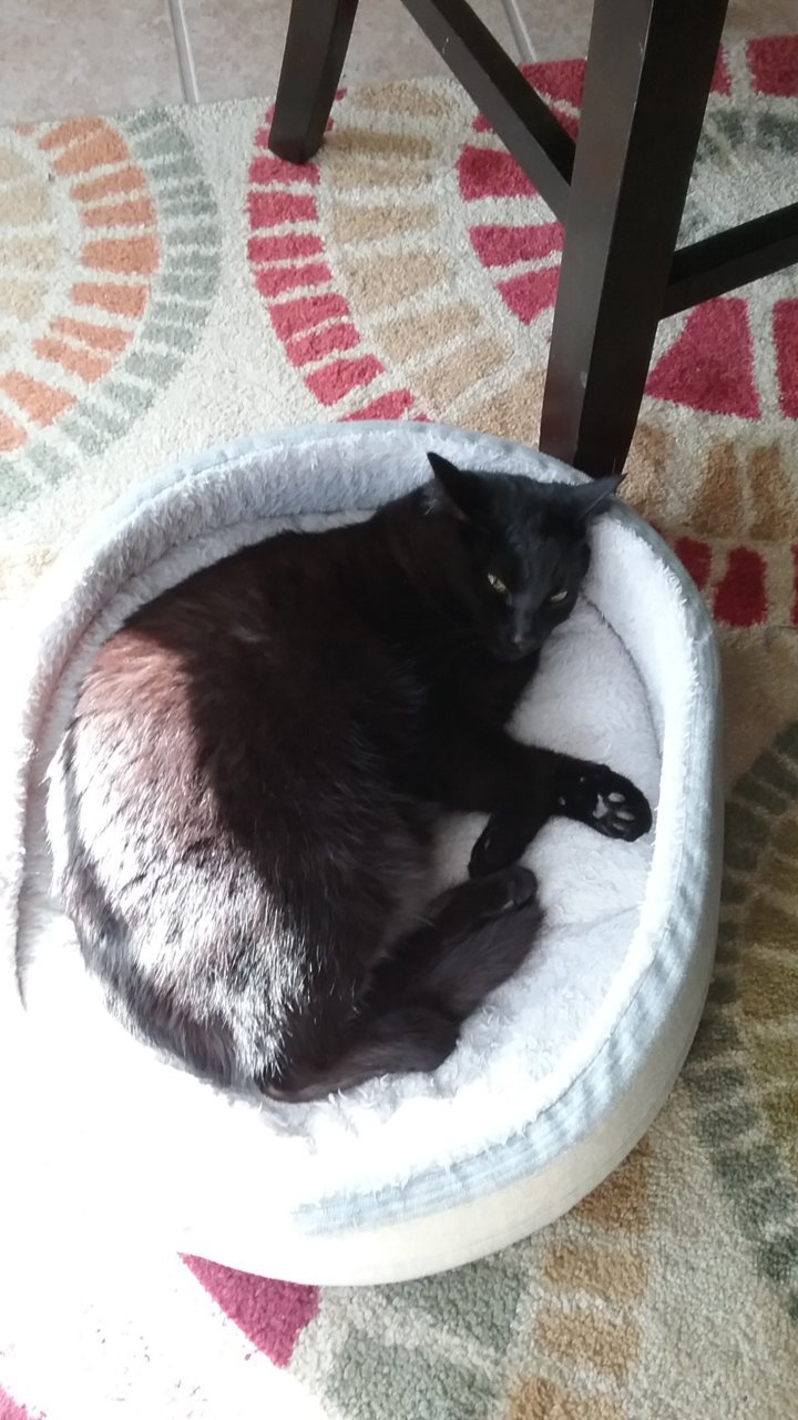 20191225_120320.jpg