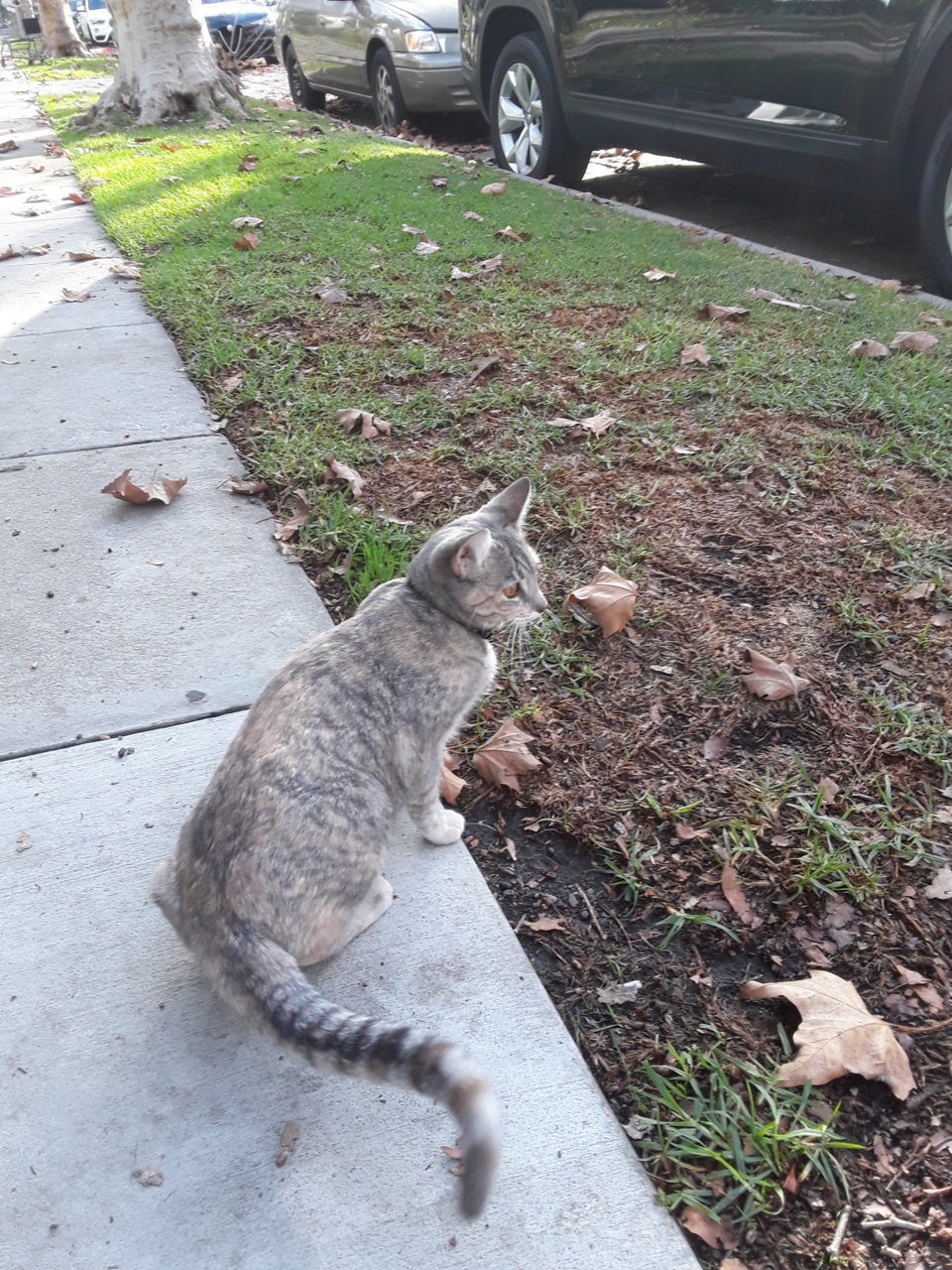 20191226_144827.jpg