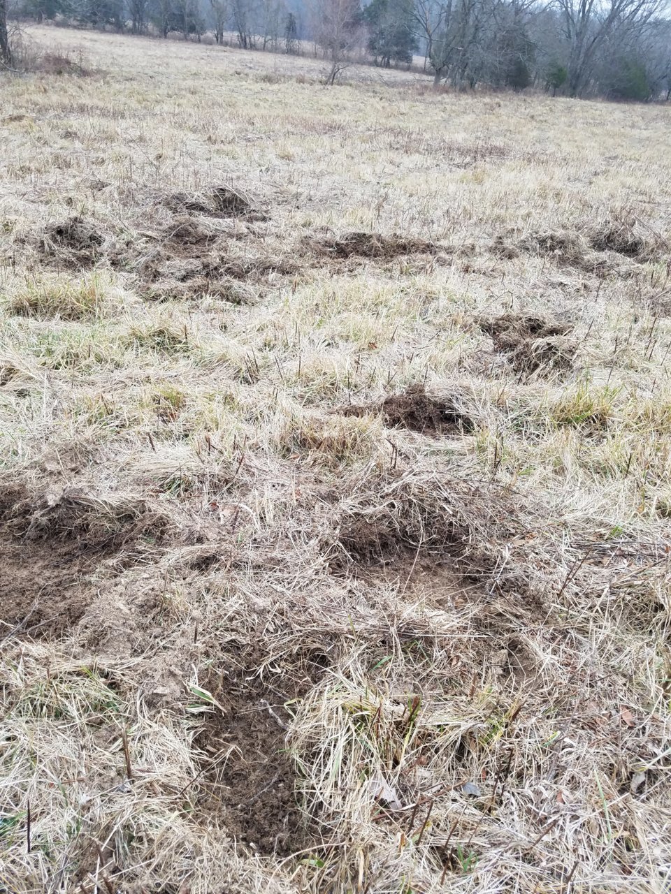20191227_085041.jpg