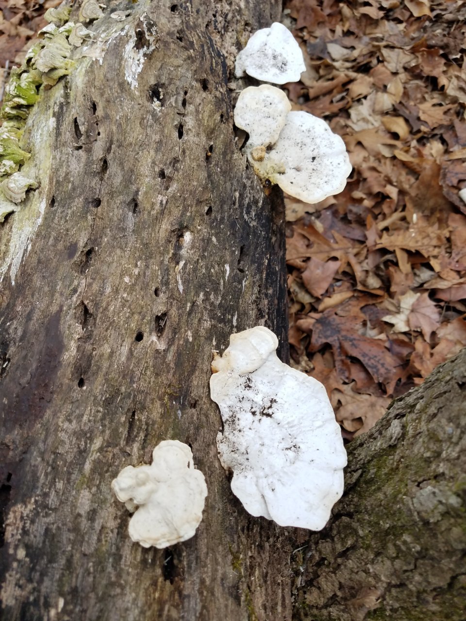 20191227_103141.jpg
