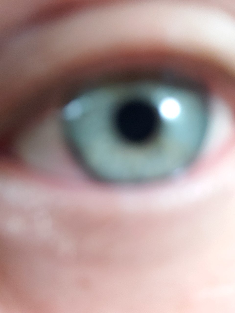 20191227_195003.jpg