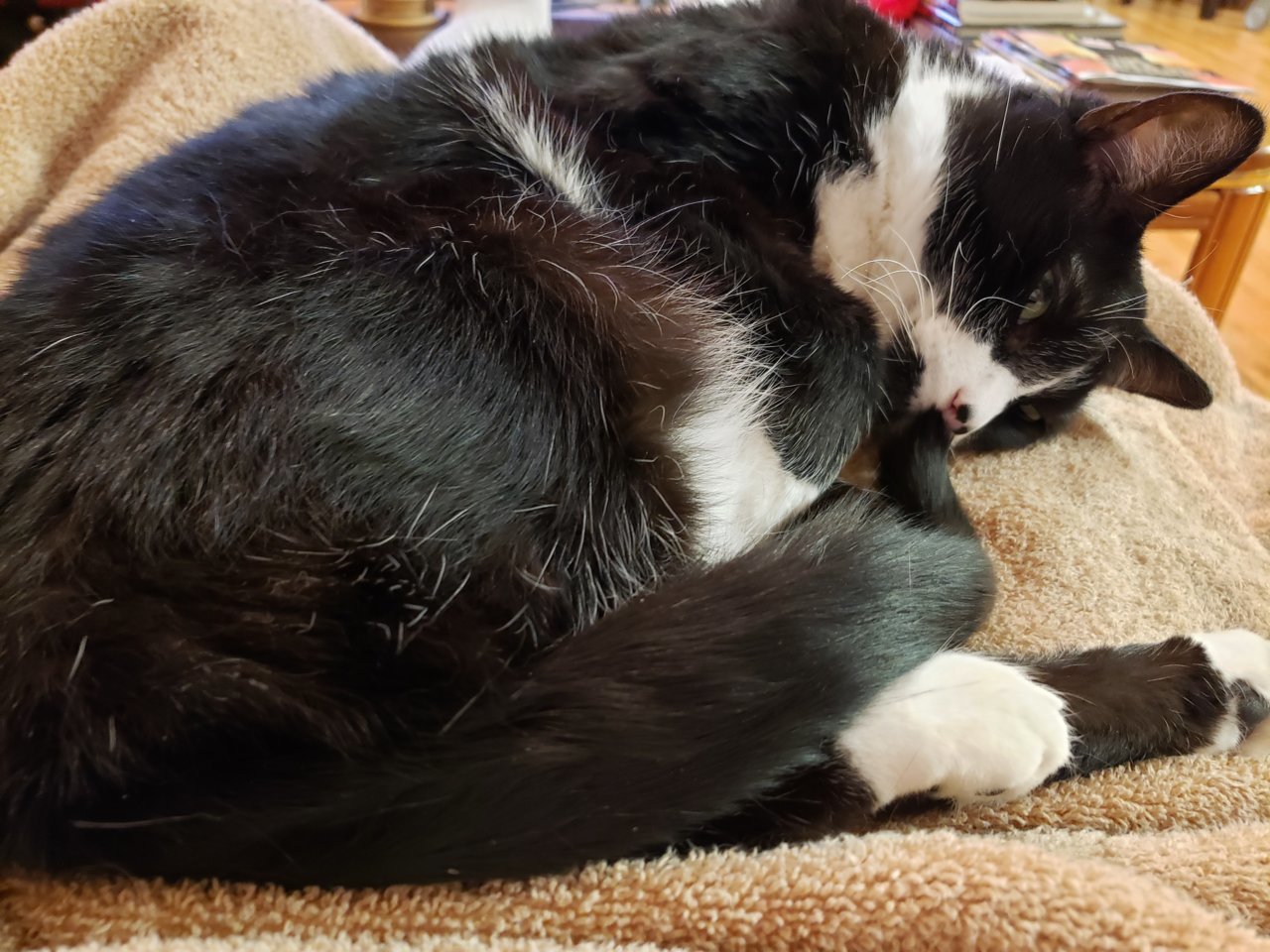 20191227_205330.jpg