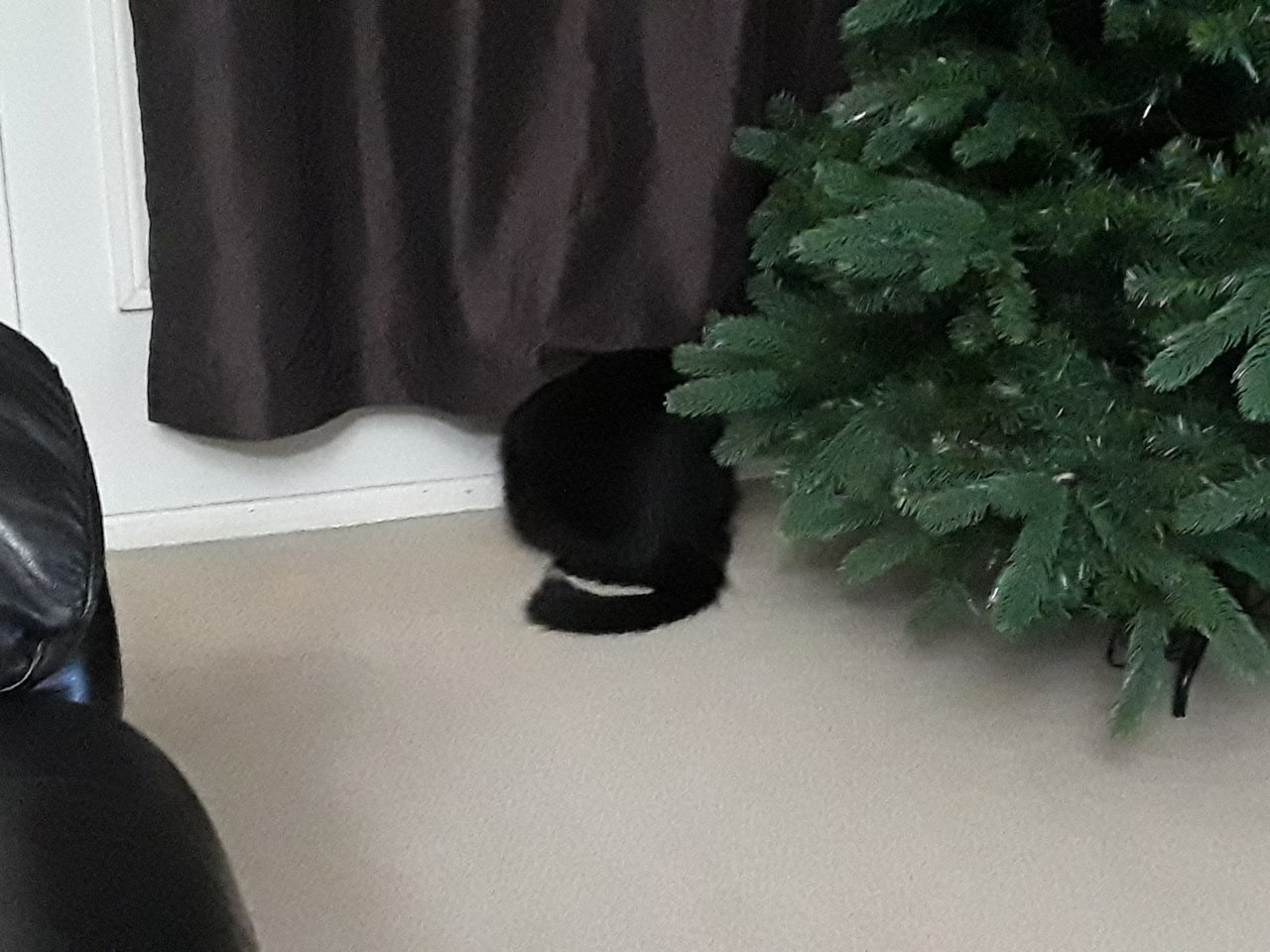 20191227_221333.jpg