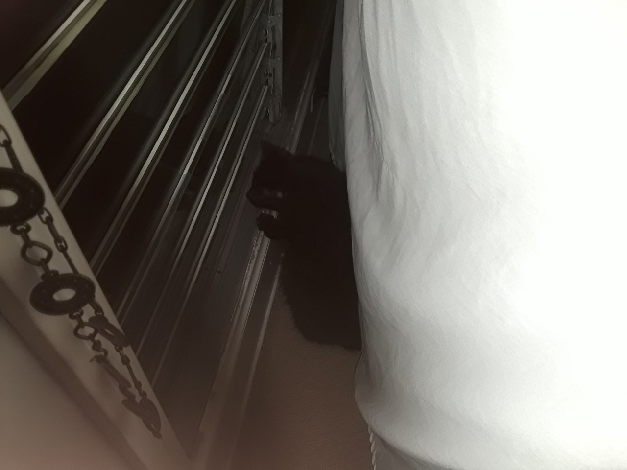 20191227_221503.jpg