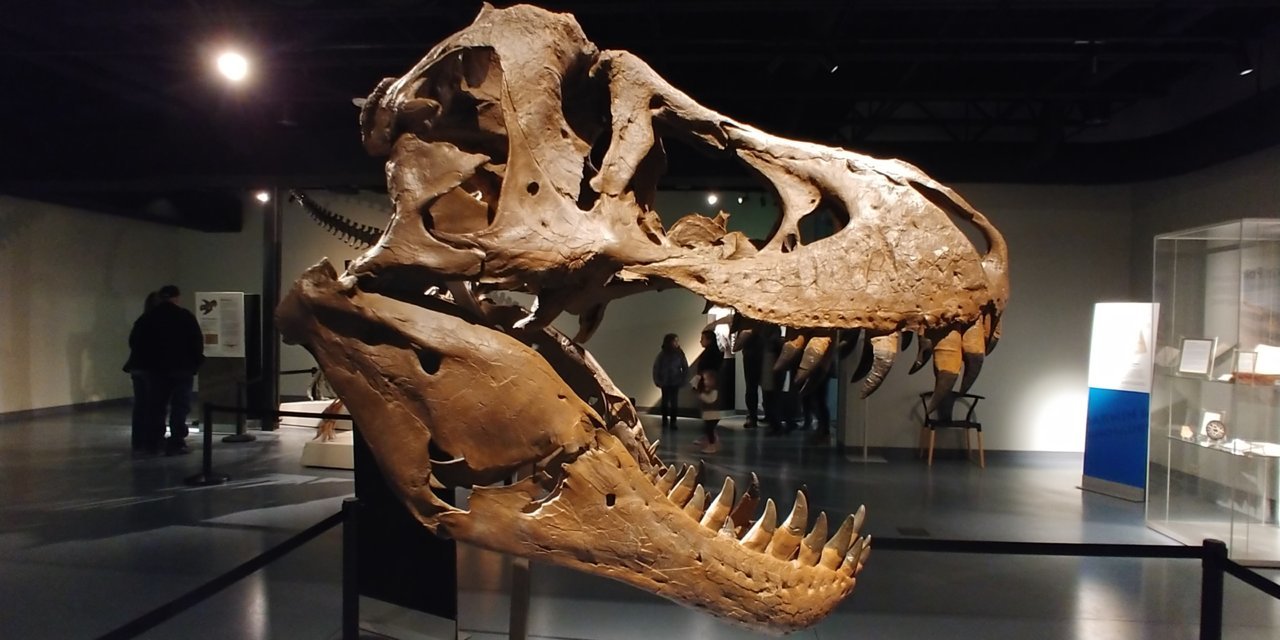20191228_114848.jpg