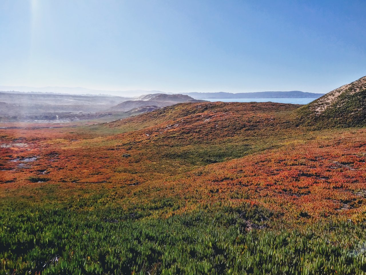 20191228_122133_HDR~2.jpg