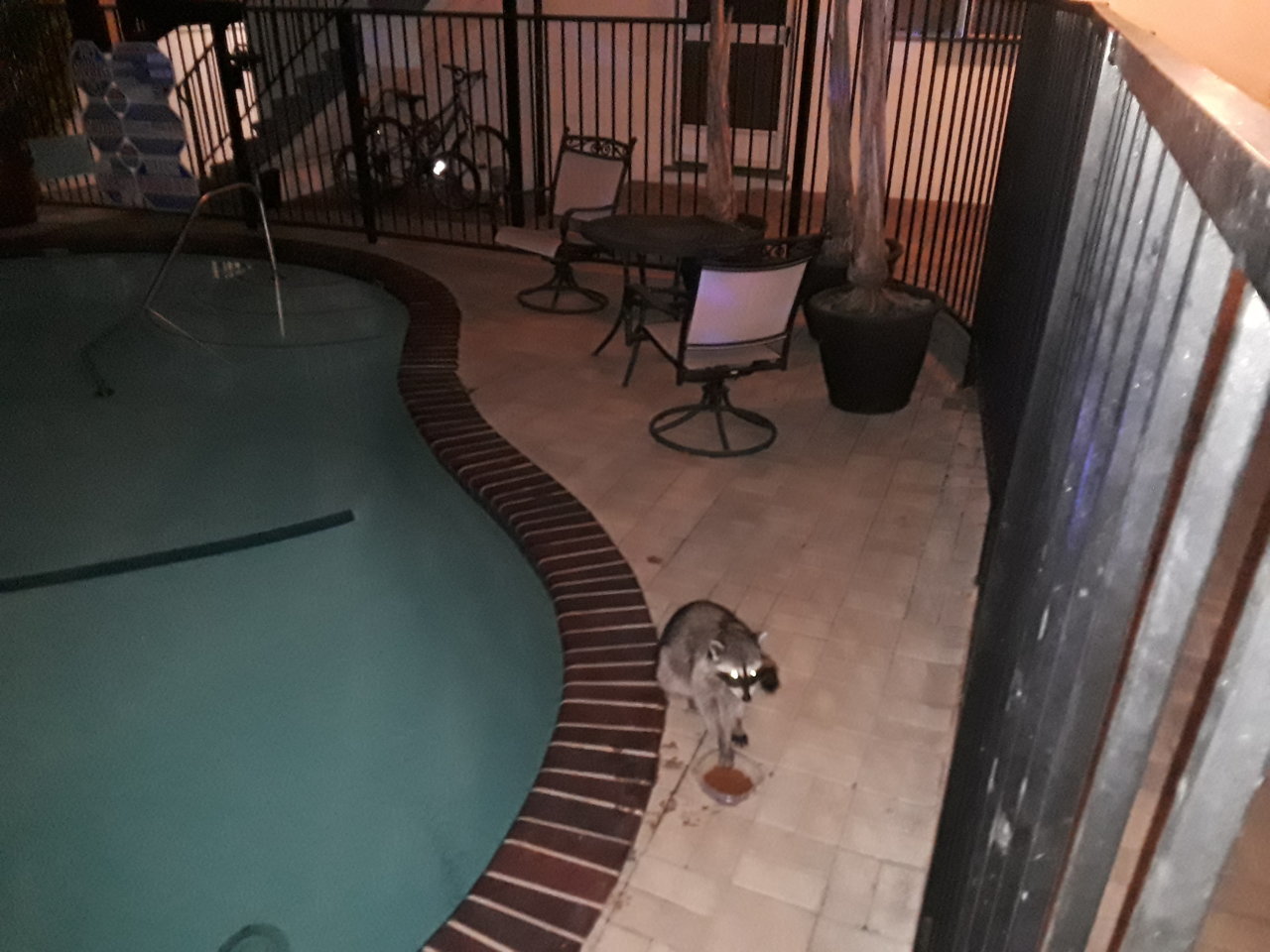 20191228_185624.jpg
