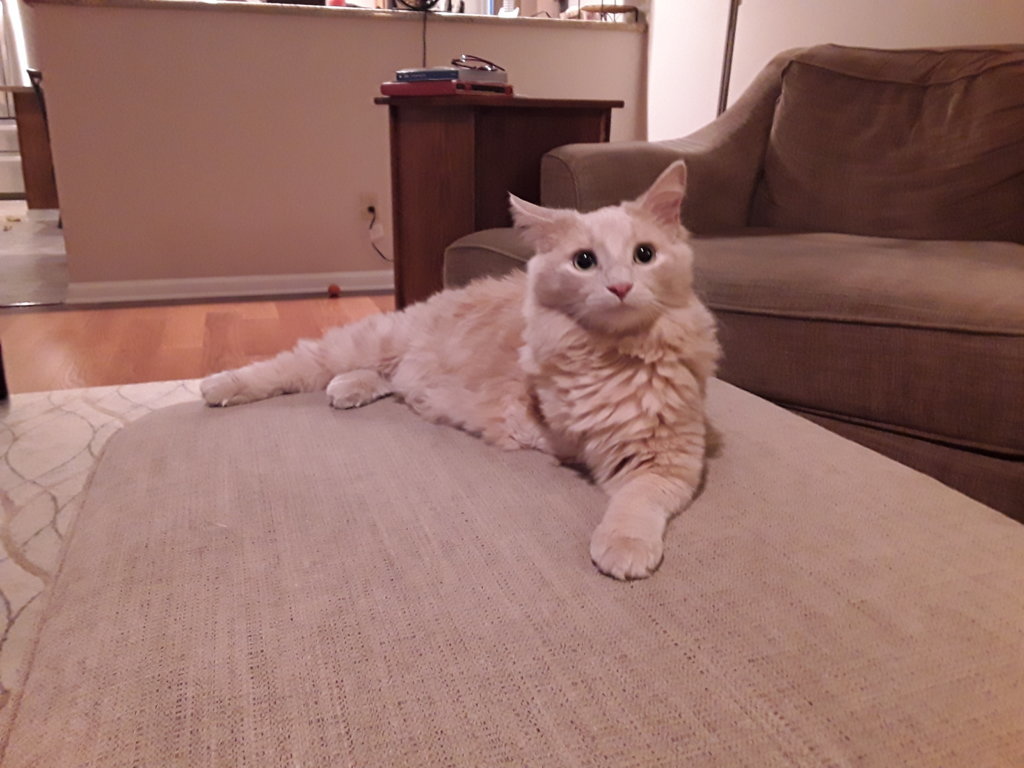 20191229_085117.jpg