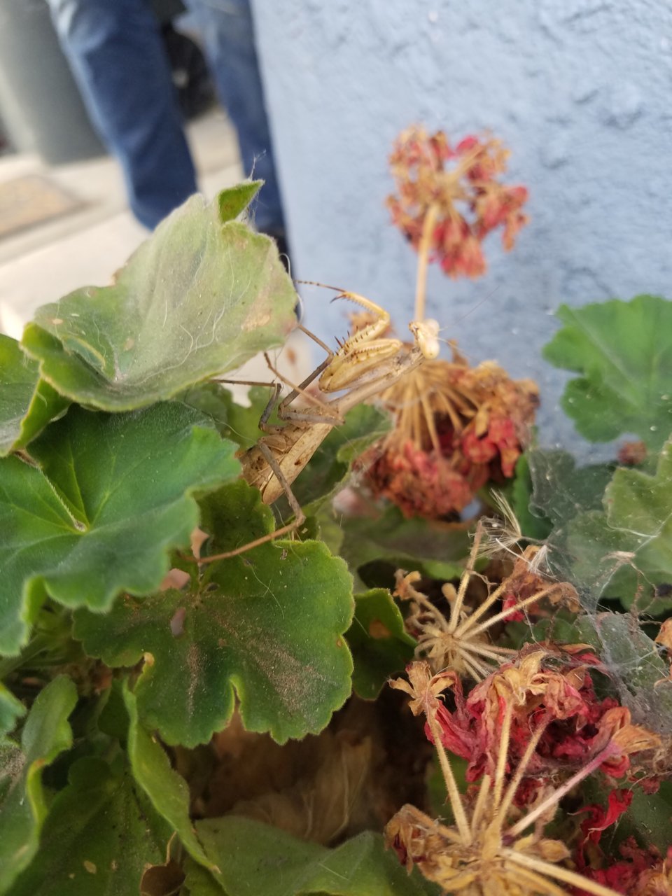 20191229_113019.jpg