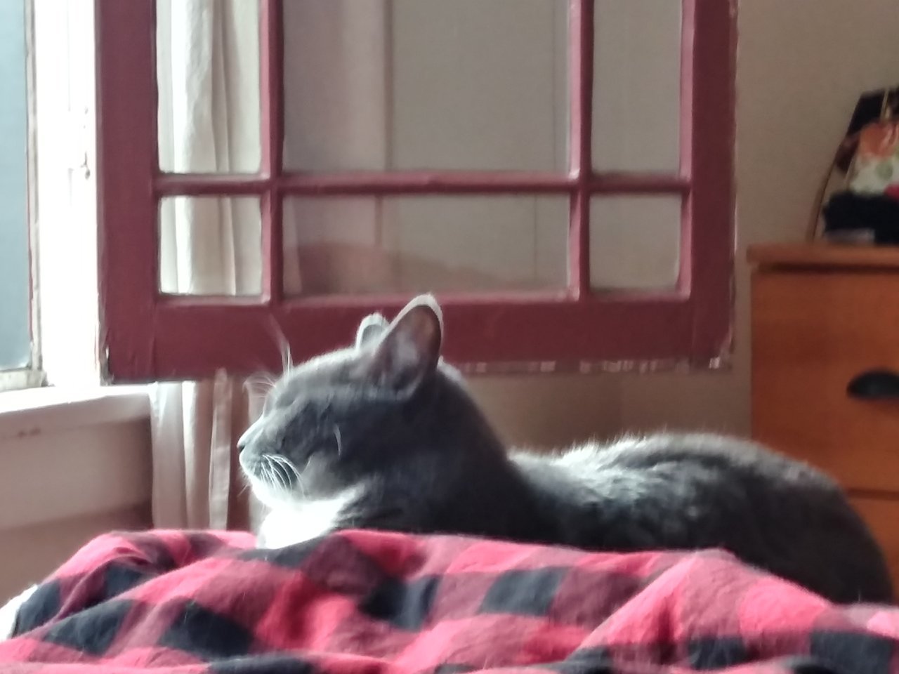 20191229_114450_HDR.jpg