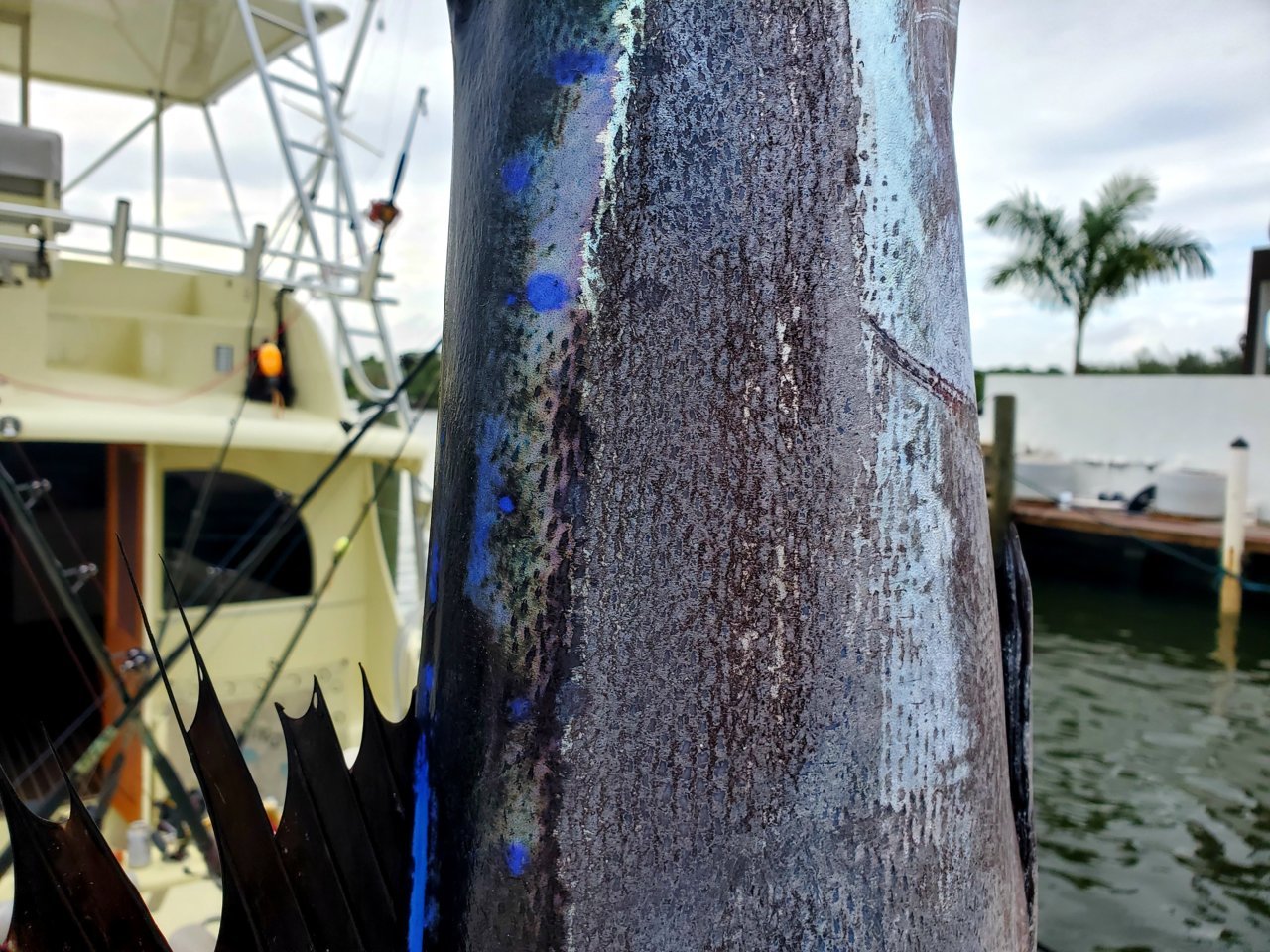 20191230_162236.jpg