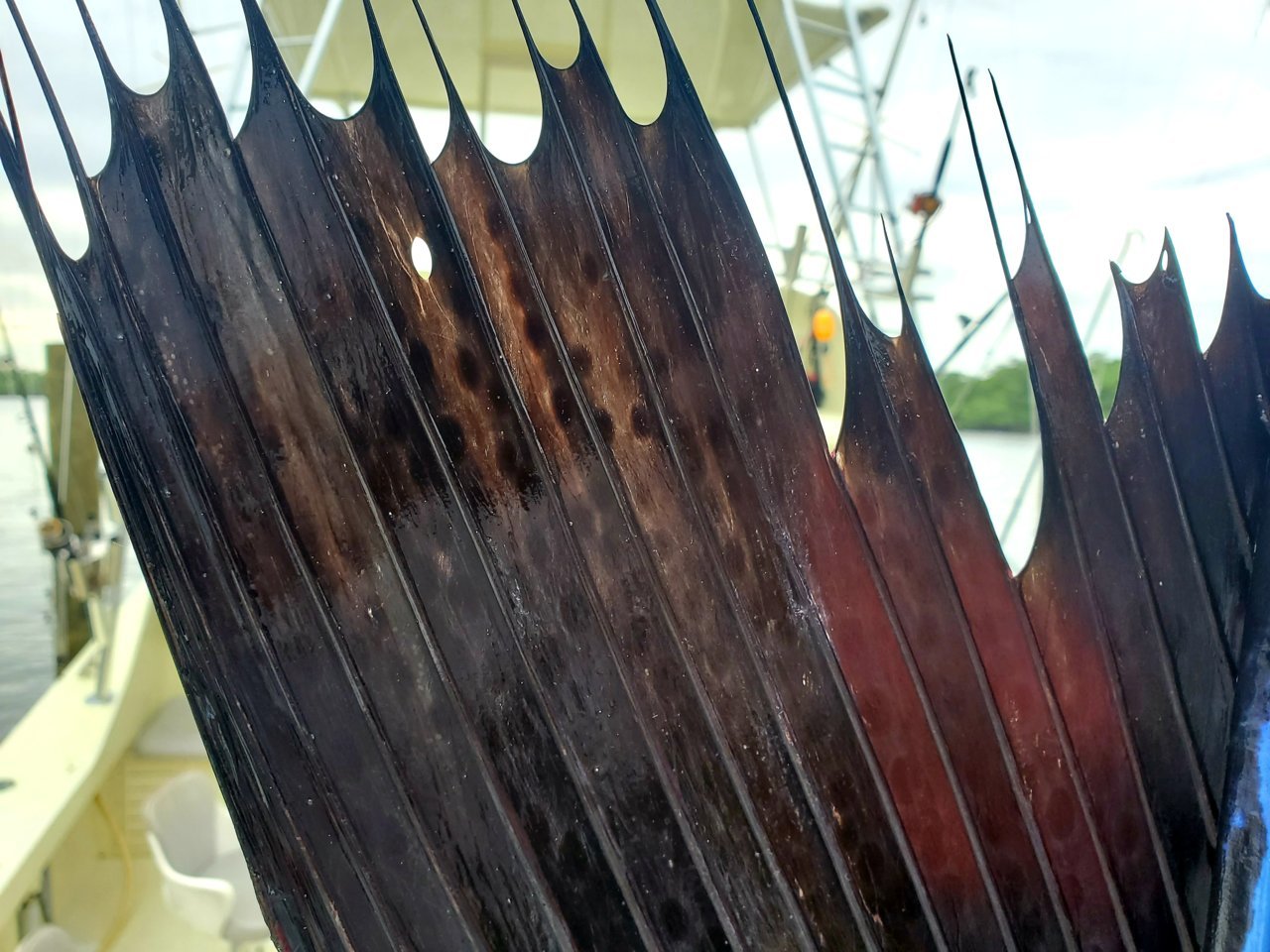 20191230_162252.jpg