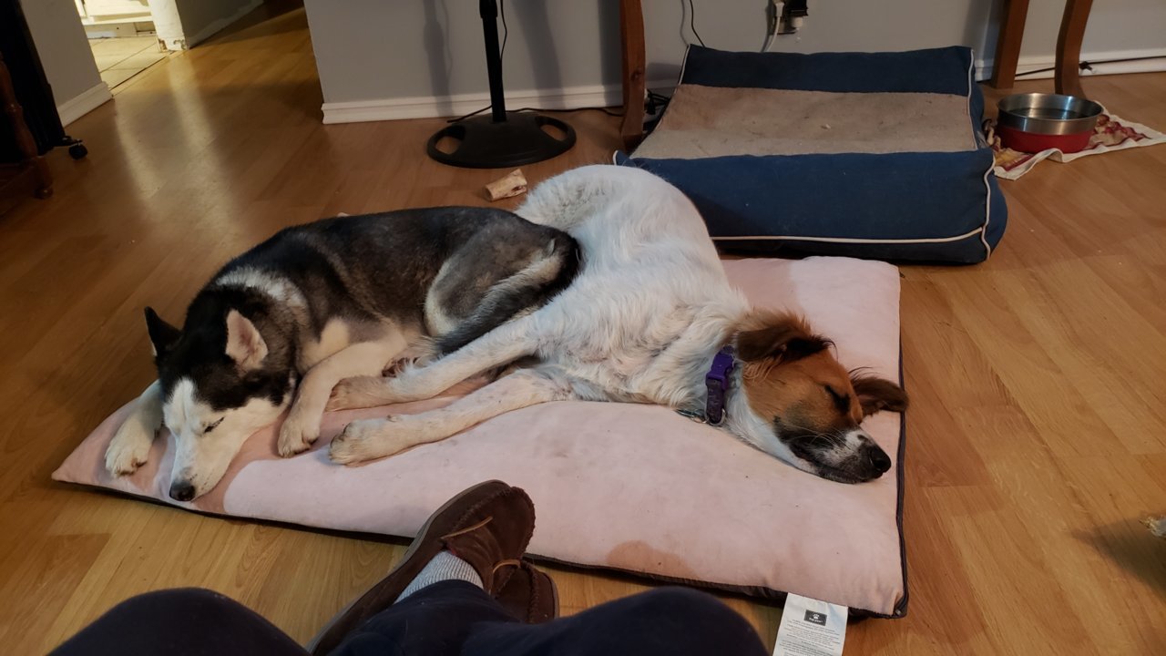 20191230_215933.jpg