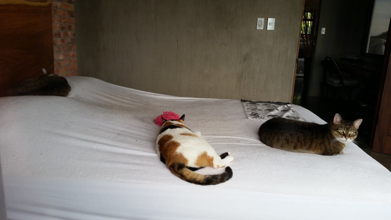 20191231_093822.jpg
