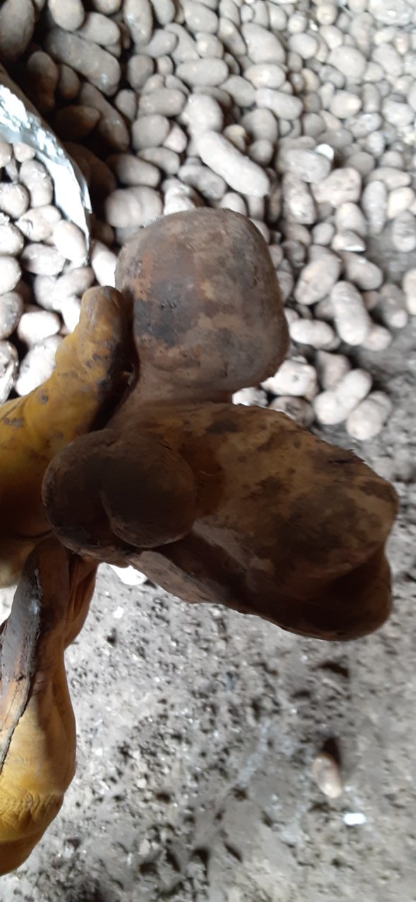20191231_114133.jpg