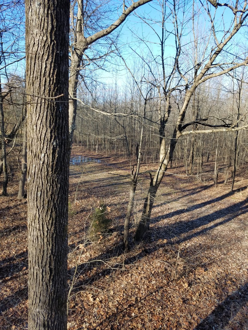 20191231_141848.jpg
