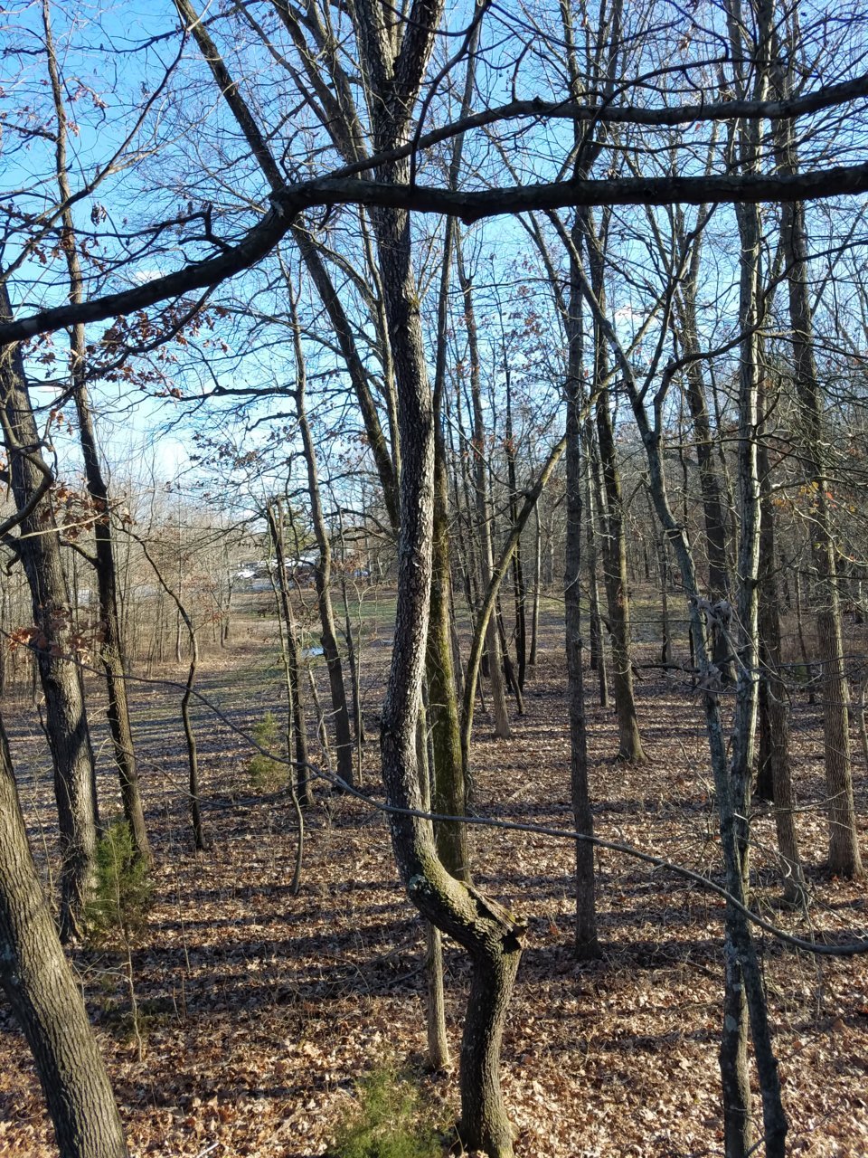 20191231_143657.jpg