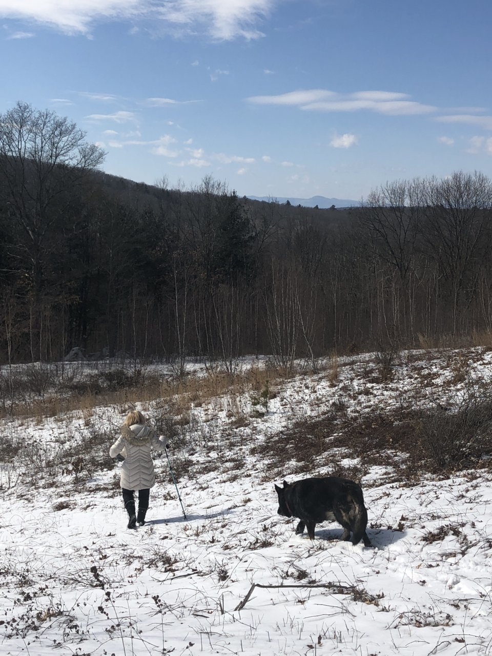 201960BC-1567-404B-92E7-24DBB88754B8.jpg
