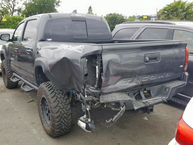 2019taco.jpg