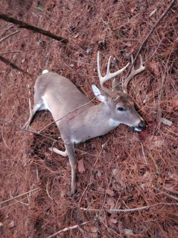 2020-01-28 - Grant 8 Point.jpg