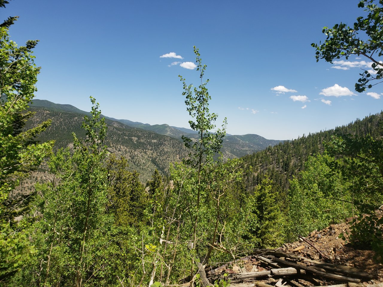 2020-04-05_07-36-18.jpg
