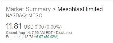 2020-08-14 07_56_02-NYSE MESO - Google Search.jpg