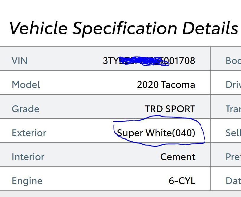 2020 paint name.jpg