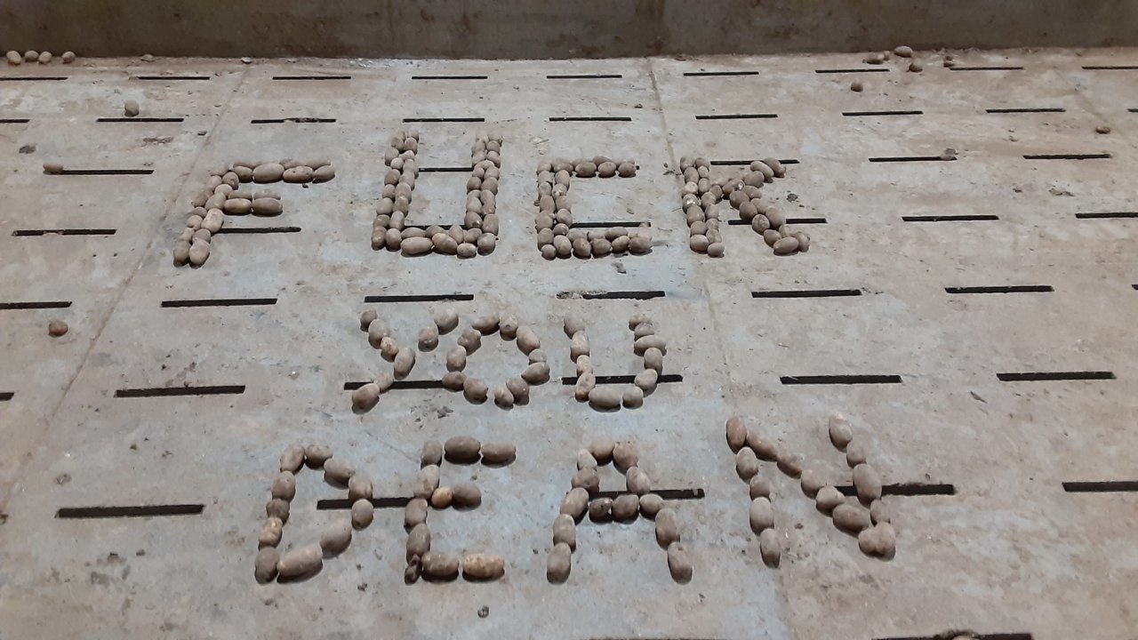 20200101_152607.jpg