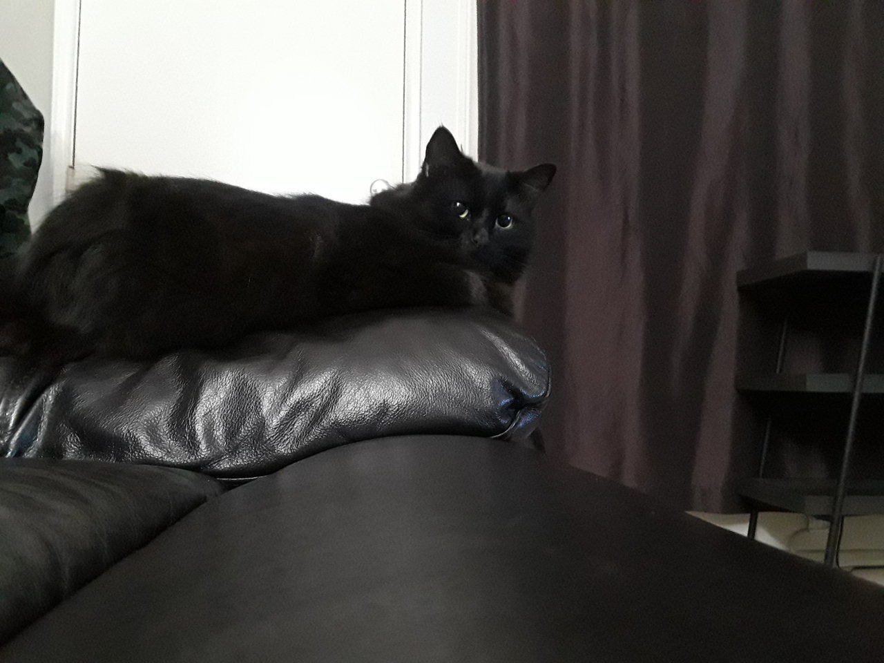 20200101_204335.jpg