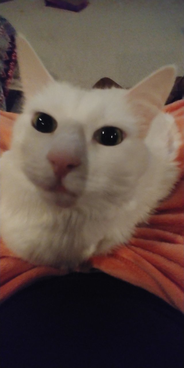 20200110_213443.jpg