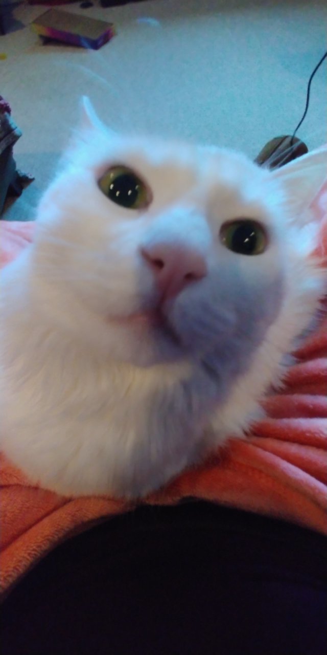 20200110_213611.jpg