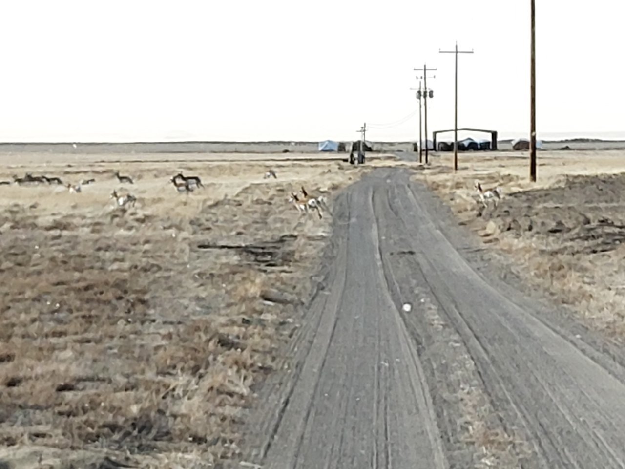20200116_131202.jpg