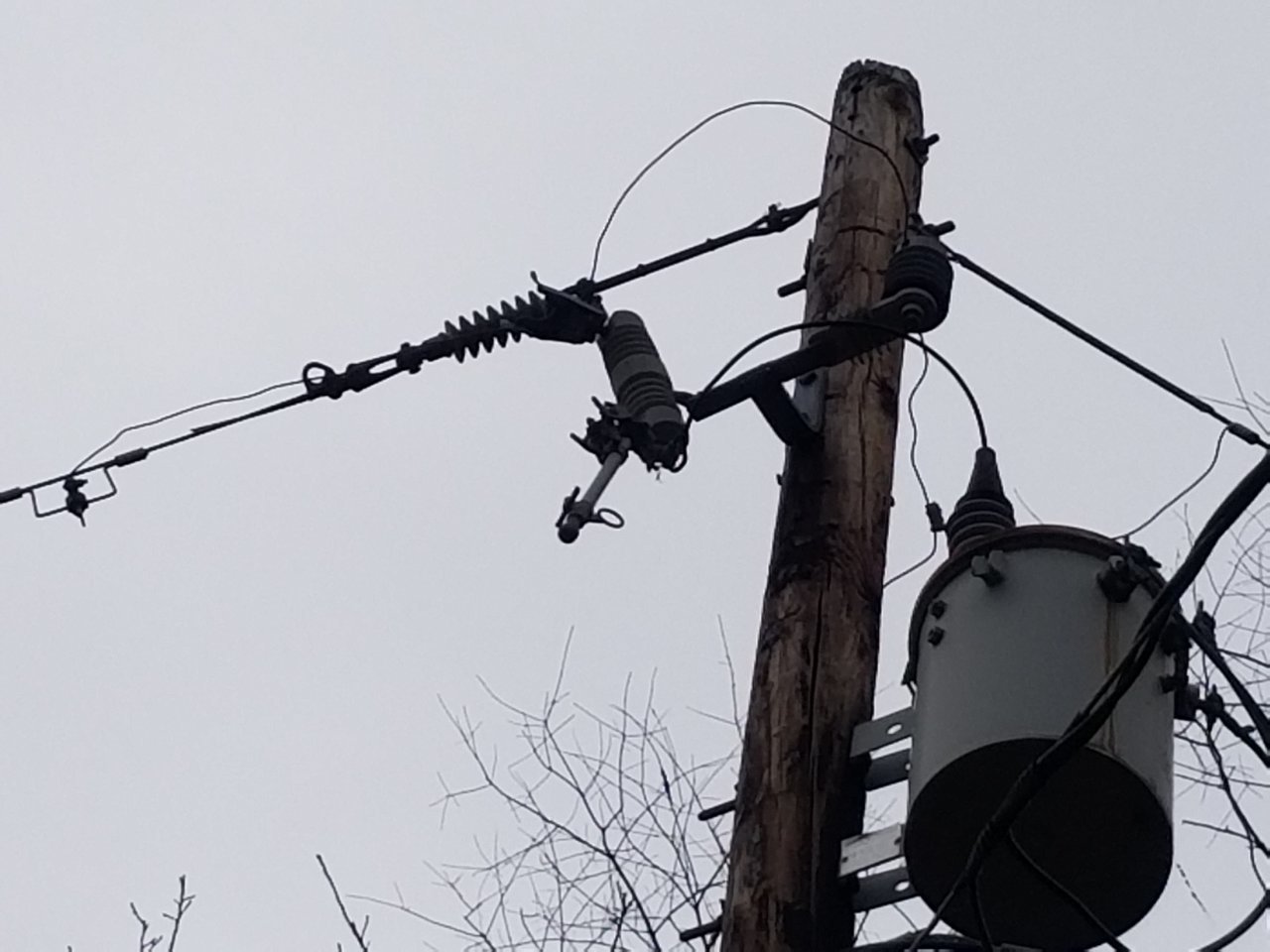 20200131_160430.jpg