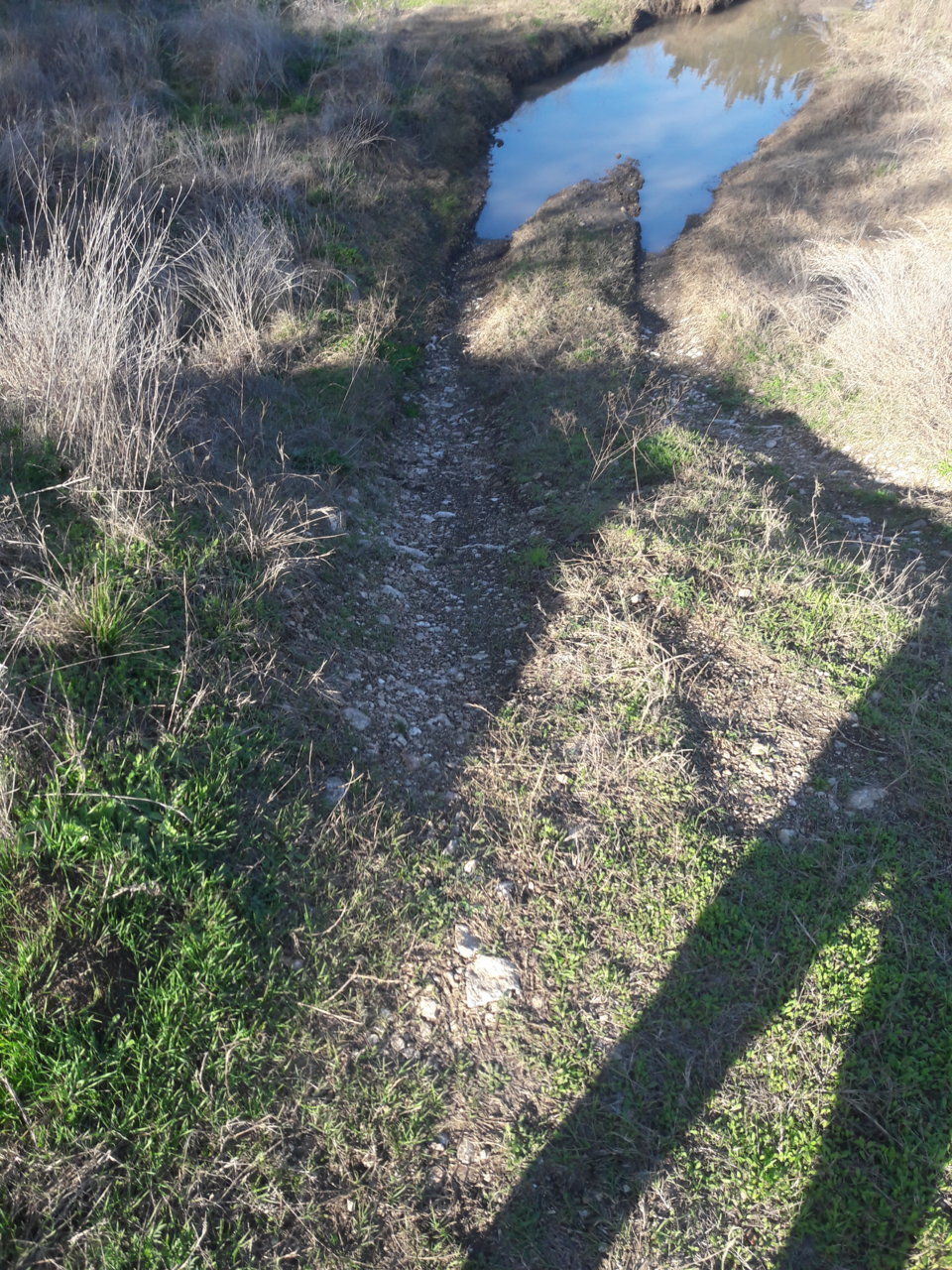 20200131_162337.jpg