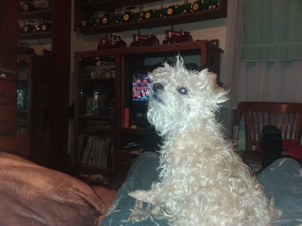 20200131_190556.jpg