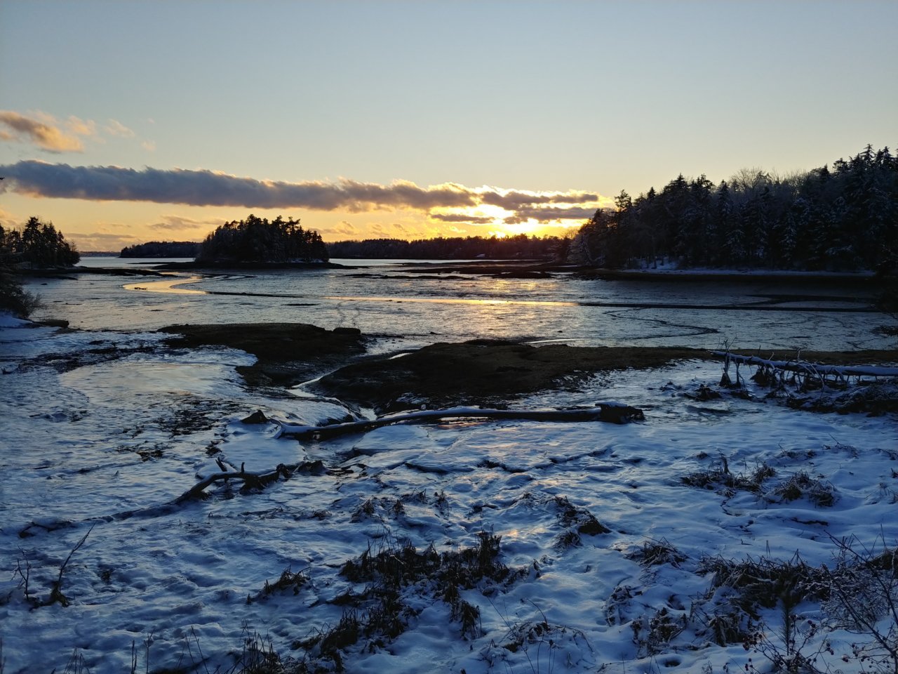 20200208_164101_HDR.jpg