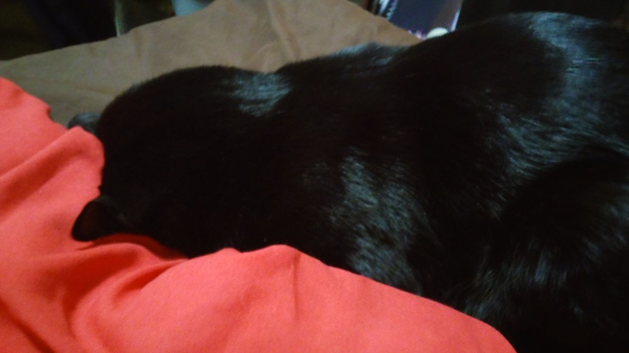20200212_224340.jpg