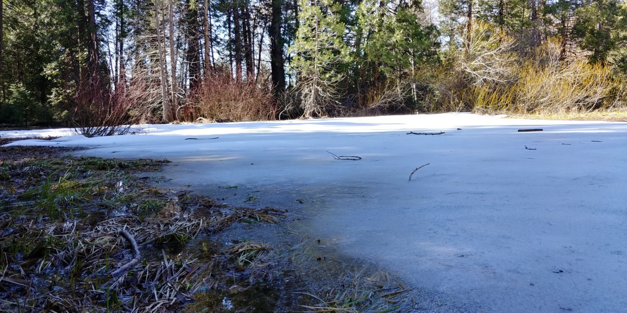 20200217_123303_HDR.jpg