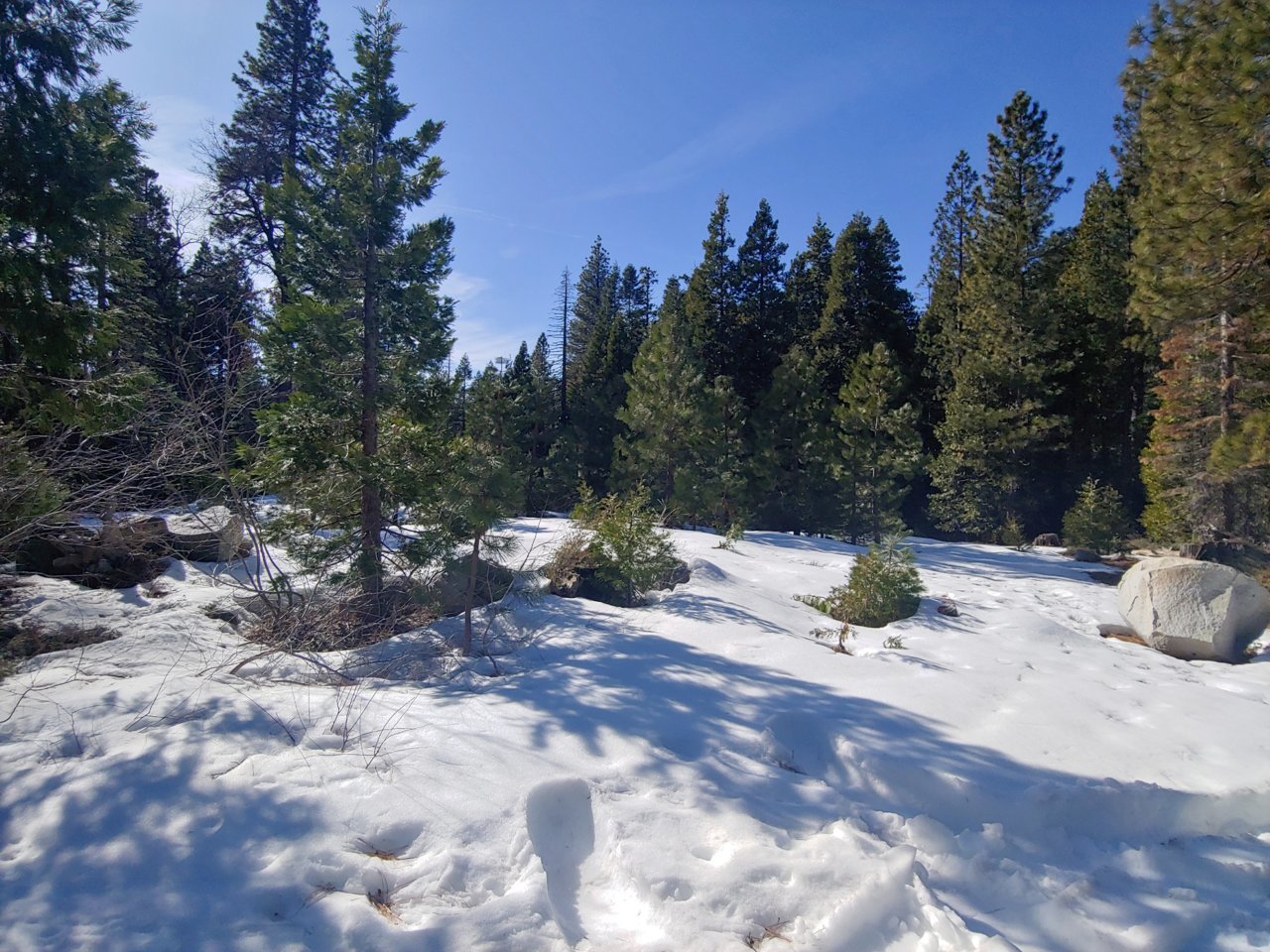 20200217_141513_HDR.jpg