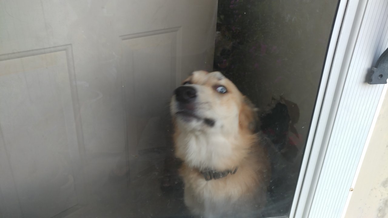 20200217_175936.jpg