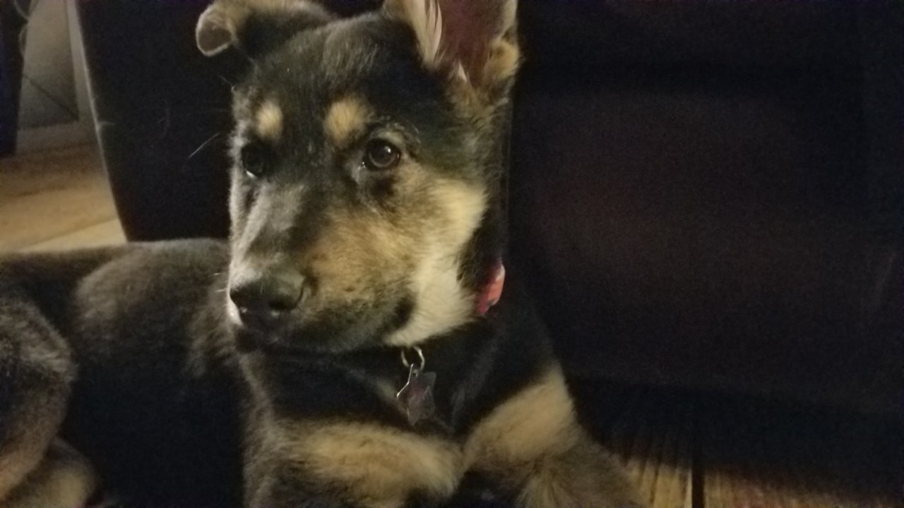 20200219_190246.jpg