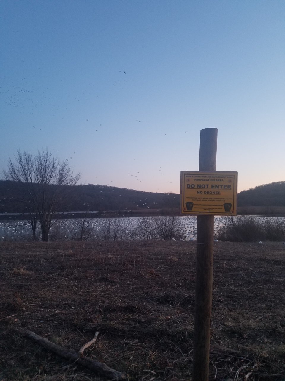 20200221_180117.jpg