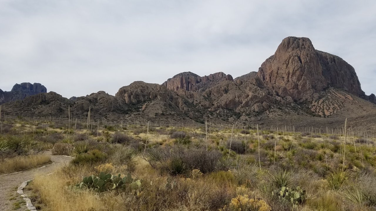 20200224_114647.jpg