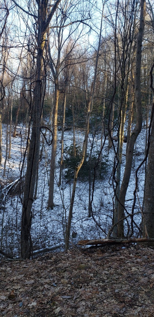 20200229_162456.jpg