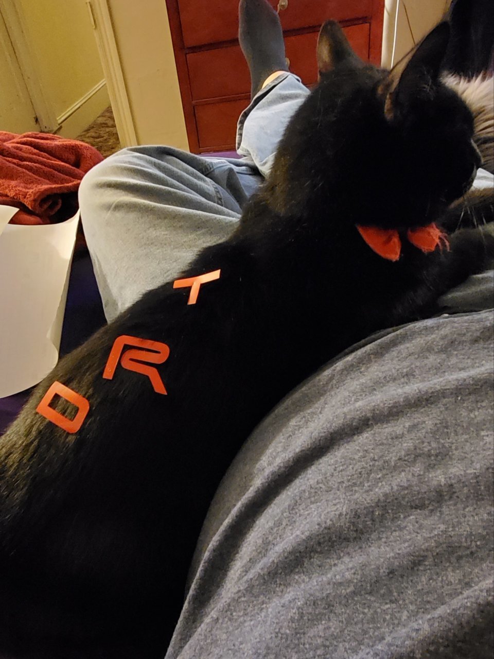 20200301_182853.jpg