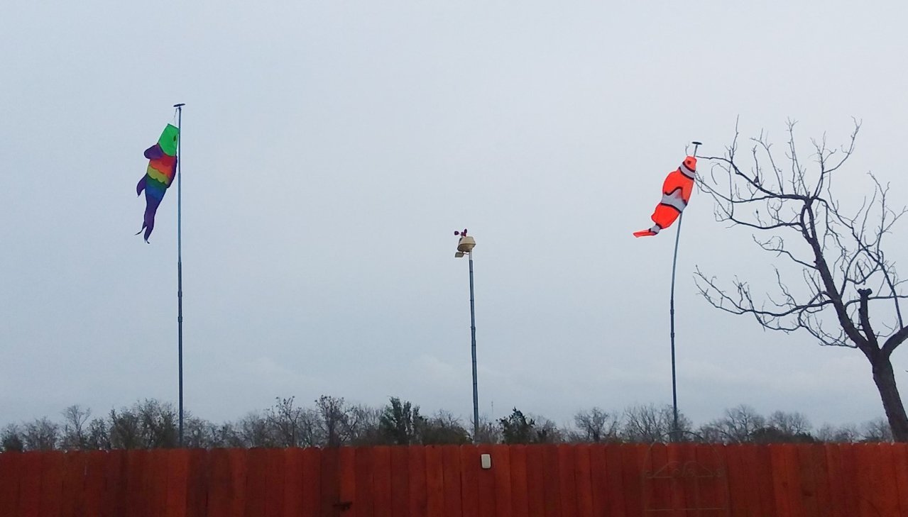20200303_152108.jpg