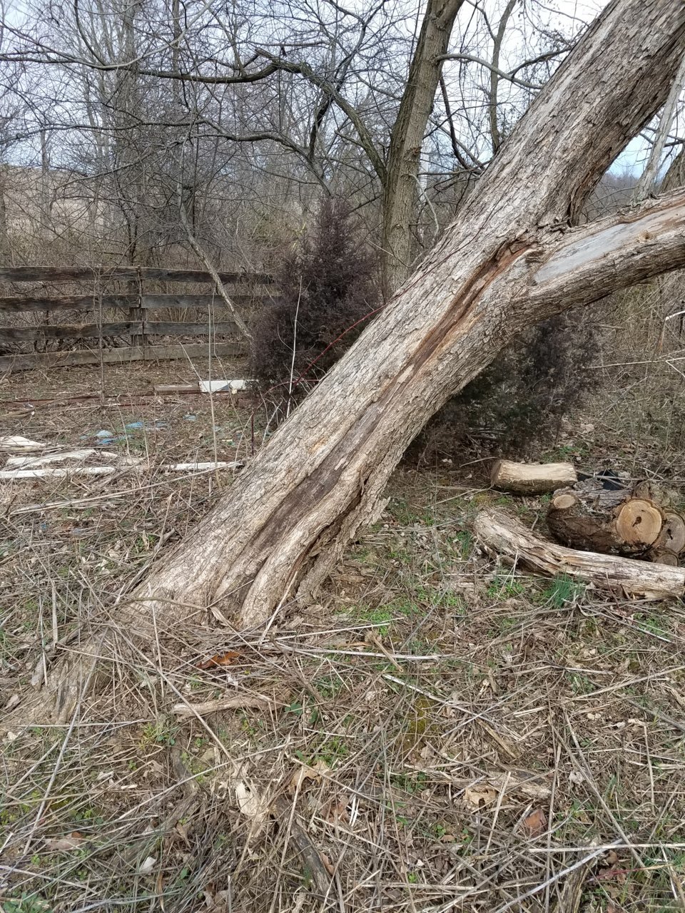 20200304_132511.jpg