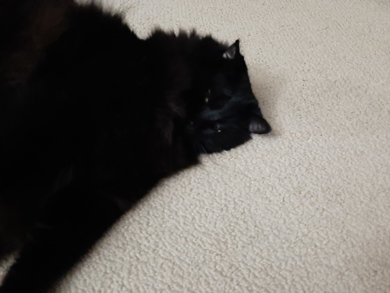 20200304_220735.jpg
