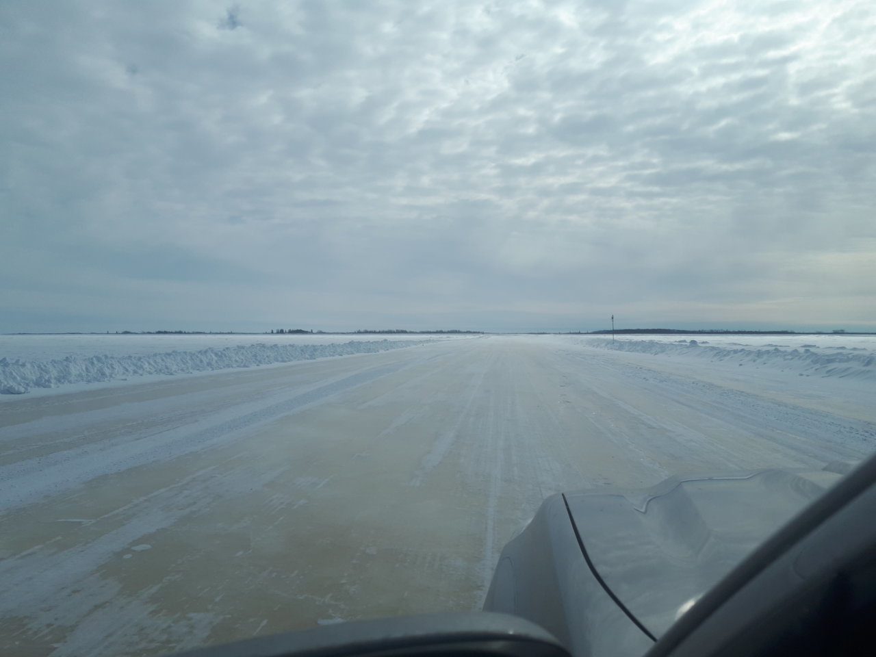 20200307_115024.jpg