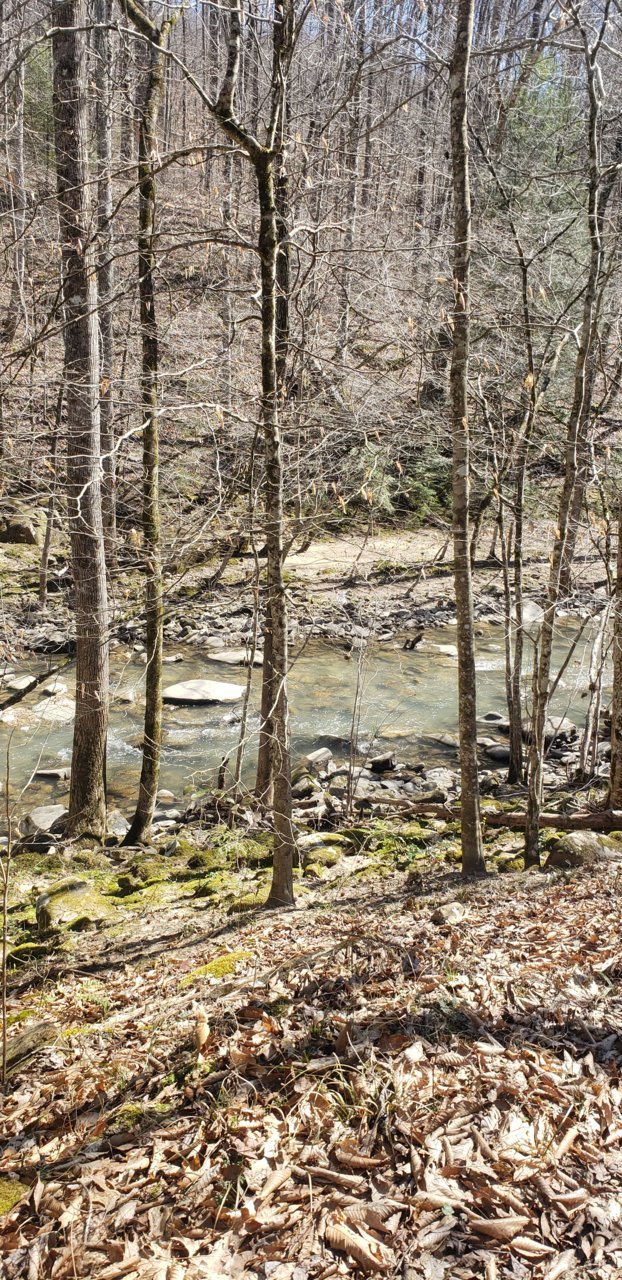 20200307_121600.jpg